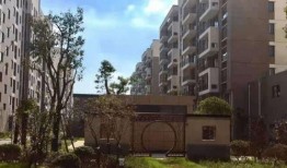 重庆叶先生最新爆料电话,揭秘电话背后的惊人真相