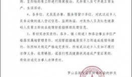 武汉核酸最新爆料通知,揭秘病毒检测背后的真相与挑战